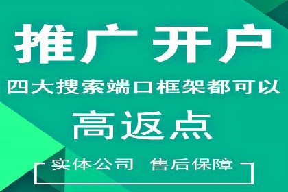 竞价广告策略案例分析